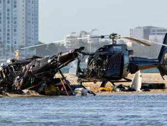 Sea World Helicopter Crash (Source EPN/Twitter)
